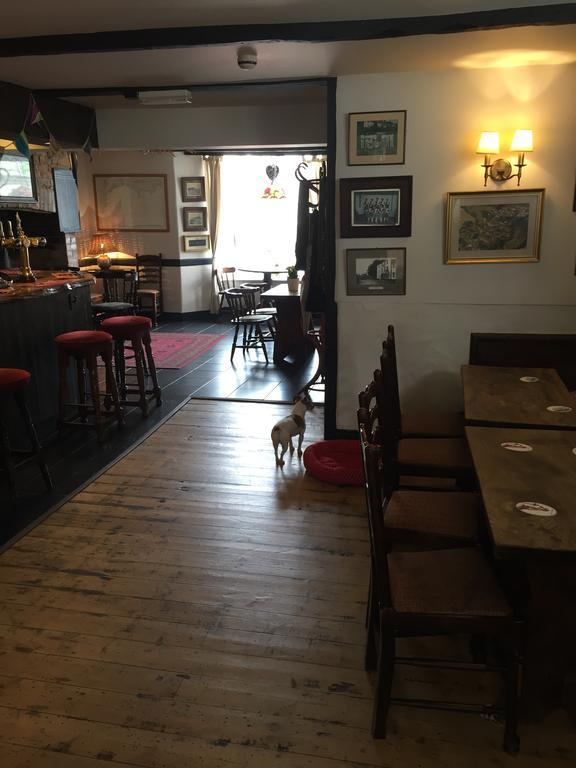 Red Lion Inn Sidbury Exteriör bild